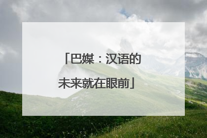巴媒：汉语的未来就在眼前